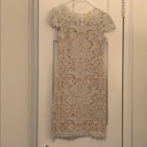 Tadashi Shoji Cap Sleeve Corded Lace Dress